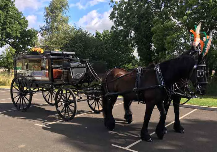Horse-drawn hearse offered by A Natural Undertaking