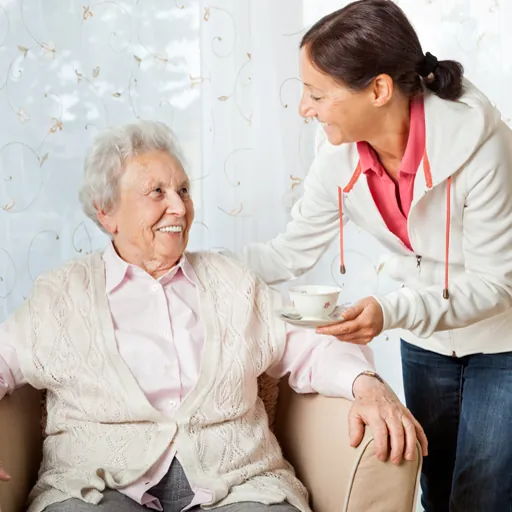Care professional talking with an older client