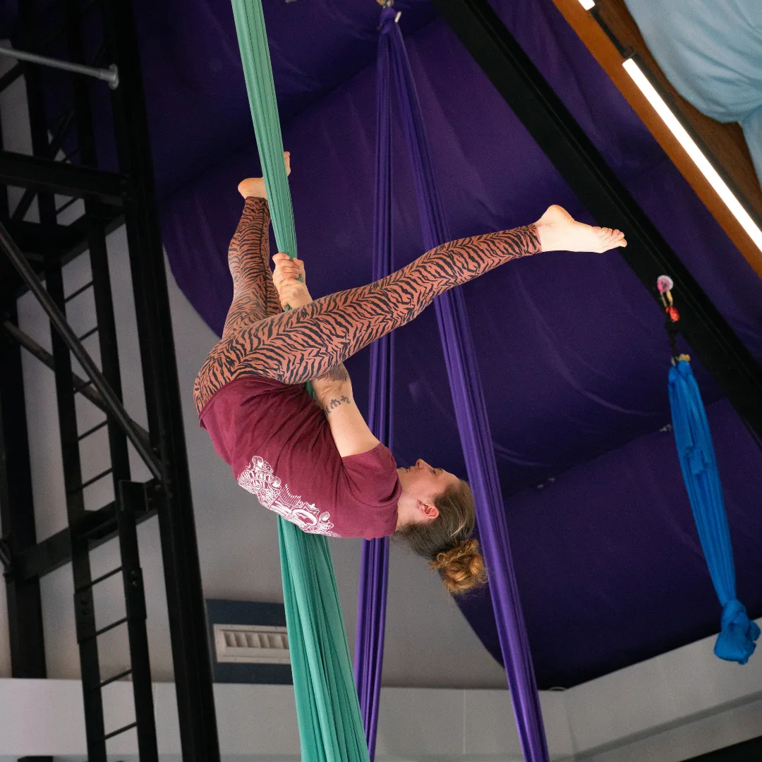 An adult CircusMASH participant performing an inverted pose on aerial silks