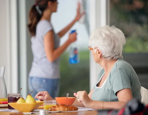 Domestic support helping an older person remain independent at home
