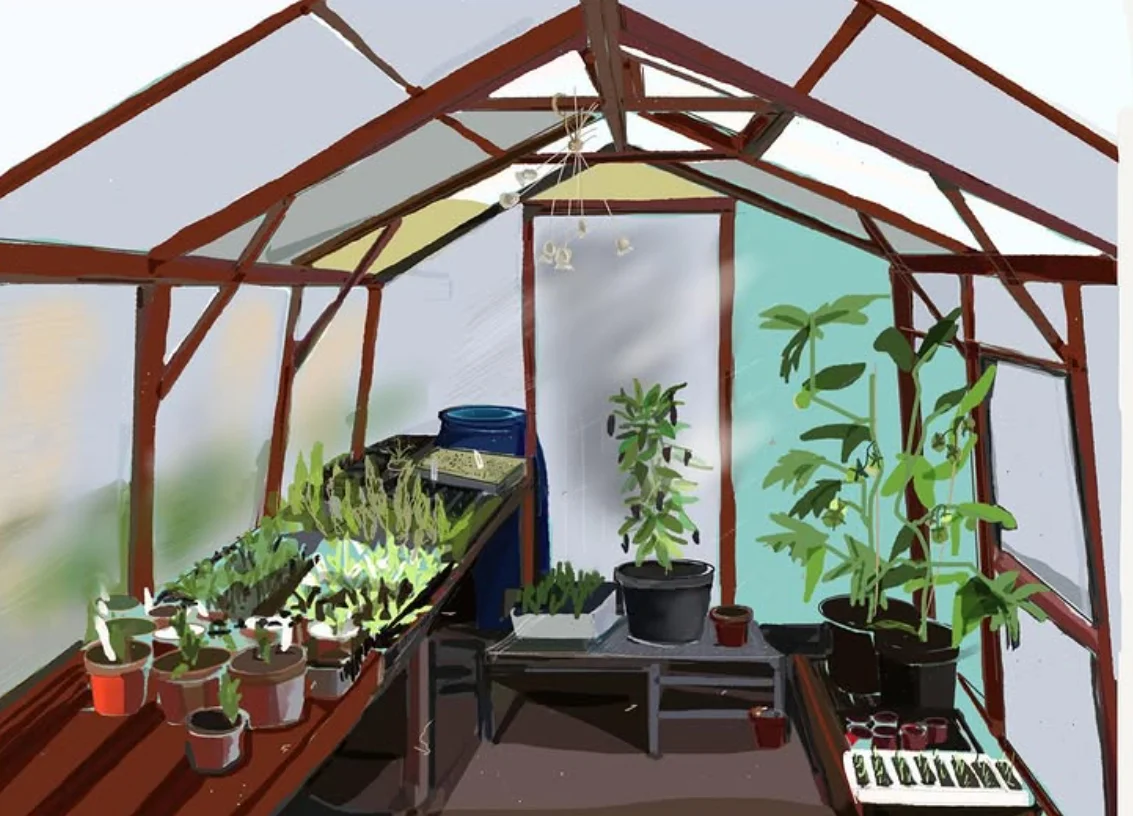 Lorna Rose’s Allotment Greenhouse artwork, looking past seed trays and potted plants towards an open door.